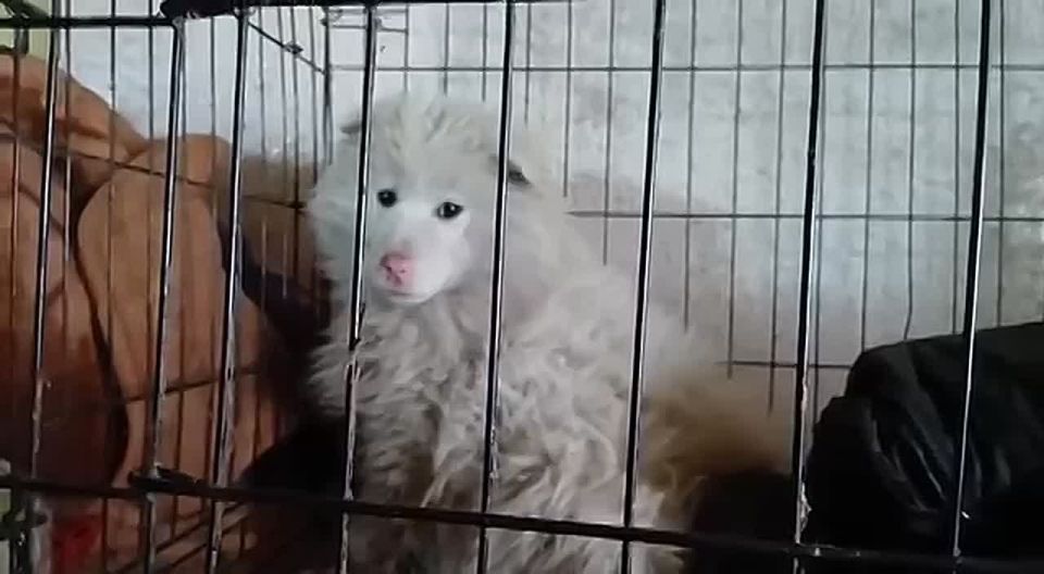 �������� �����������!. ������� ���, ������� �������� ����� � ����� �������� ������ - ������ �� ������ ���� ������ ������������� ��������