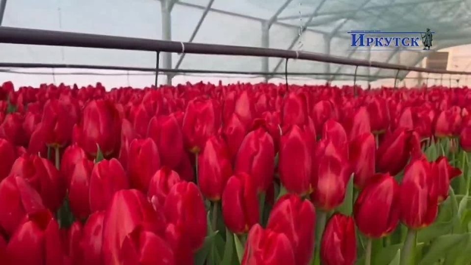 ��������� ��������� �������� � �������� ������������ � ������������: �������� ����, ��� ��������, � �� �������� �����!