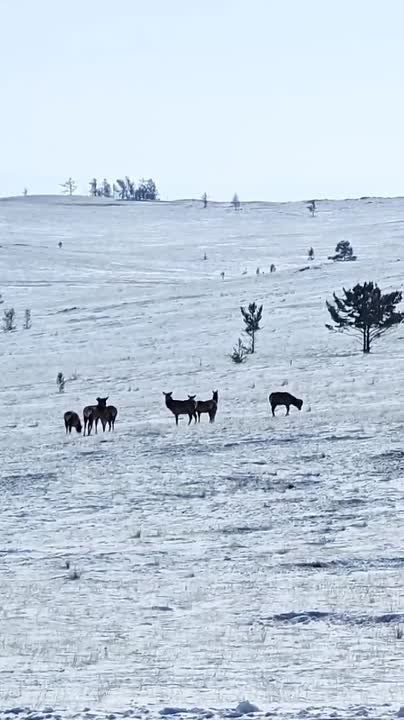 �� ������ ������� ��������� ��������� ����� �������