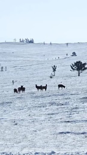 �� ������ ������� ��������� ��������� ����� �������