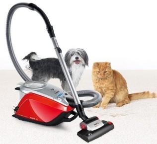 Как выбрать идеальный пылесос для вашего дома