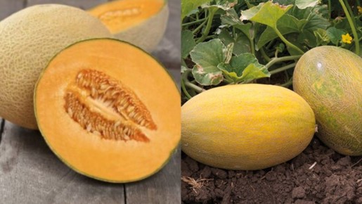 ��� ��������� ���� ����� �� 2,8 ��: ����������� ������� ��� ��������� ������