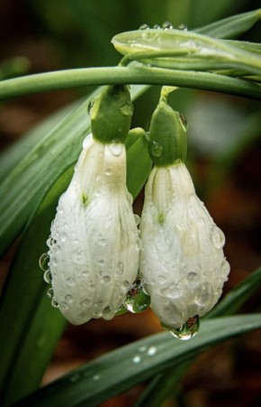 � ������� �����. �� ���� � ������ �������� �����: �������� ��������� ������ � ������� �������� �����������