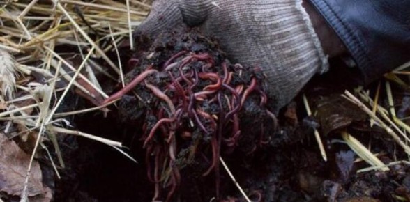 ��� �������� ����� ����� ���������� ���� ����� � ��������