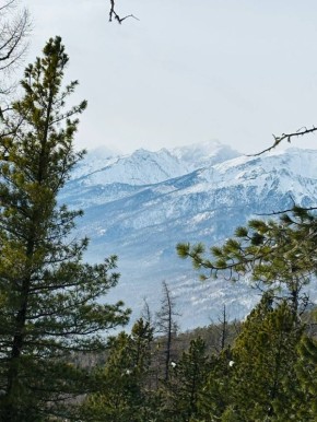 ������ ����, ��������� �������!