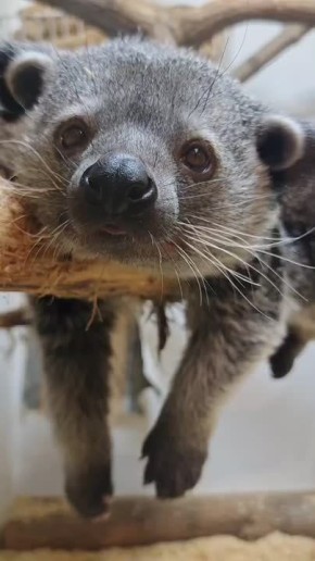 #����_������������. ��������� ����� �� #����������_�������