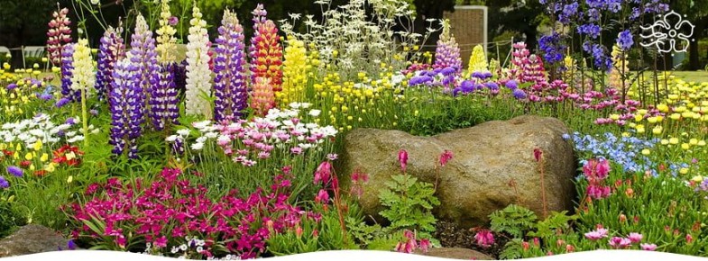 ��� ��������� ����������� ����� � ������ ������