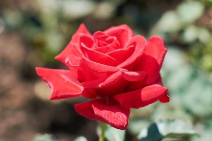 ������������ 8 �����, � � ������ ����� ����� ����� � ����������� � �������? ���������