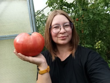 �������� �� �������: ������� ������ ��� ���������� � ���������� ������