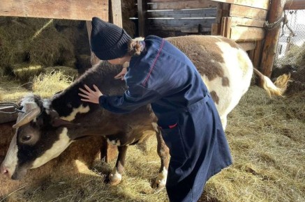 �������� ��������������������� ����������� ���������� � ��������� �������