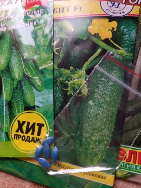 ������� ������� ������: ��� ��������� ������ � �������� ��� � ������