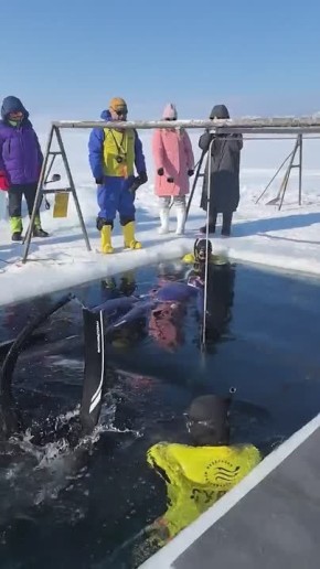 ��������� ����������� ���� ��� ������� ������������ � ��������� �������