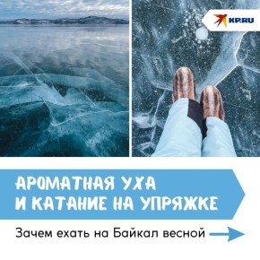 ����������� � �������� �� ���������, �������� ������ ��� � ��� ��������� ������ �������� ������ ���� ������