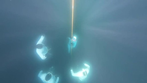 �� ����� ������� ��� ��� �������