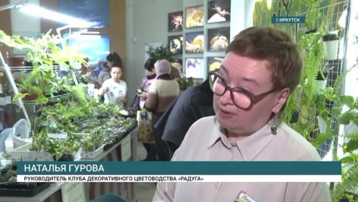 ������ �������� �����. �������� � ����� �������� � ��������� ��������� � ������������� ����� � ��������