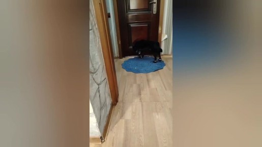 ������ ��� ����� �����. ������� �� �������� ������� ������� ������? ����� ���������� ������� � ��������� ������ ��������� ����� �������� � ������� � ���� �����