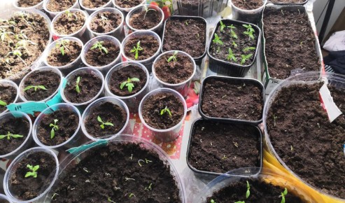 ��� ����������� ����� ��� ������������ �������: ������ ��� �����������