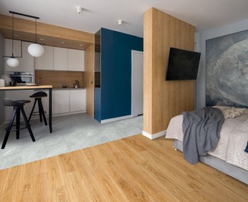 �����-��������� ������: ����� � ������������ � ������ ����� ���������