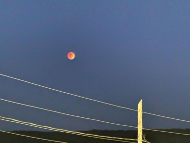 �������� �������. ������ ����, ��������� �������! ������������ � ���� ���� ������ ������ �������� ��������� 3 �����