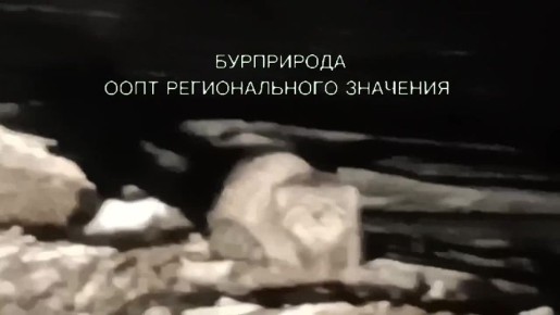 � ������� ������ �������� �������������� ������ � ��������� � ���