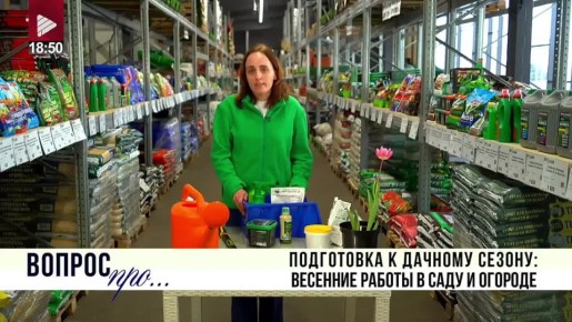 ������ ��΅. ���������� � ������� ������ ���� | ��������� �������