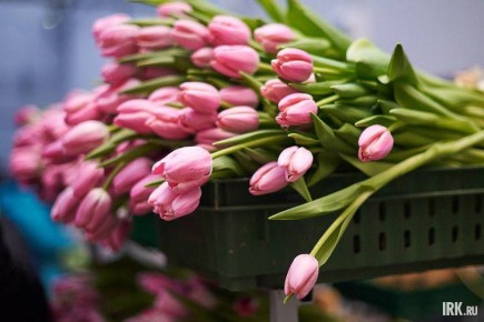 � ���� ���� ������������� ������� ���� �������� �� �����������, � ��� �������� �� ��� ����, ��� ���������� ��������!