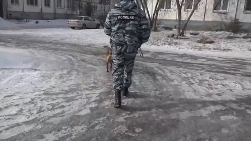 �� ������� �����. ����� ��������� ����� � ���� �� ����� ������� � ������������� �����, � ������� ������������ ������ ����������� ������������