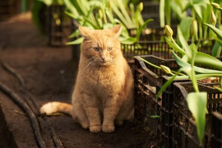 ������ ����!. ������� �������� ����� ��� ������� �������