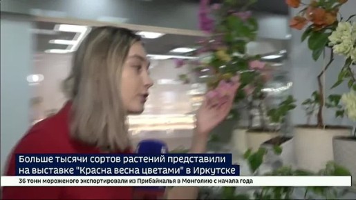 ������ ������ ������ �������� ����������� �� �������� ������� ����� ������� � ��������