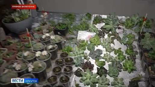  ��������� ������ ��������� �������� ��������� ��������