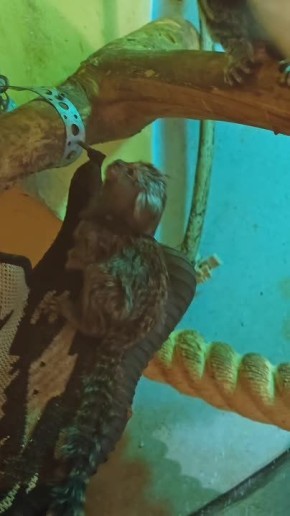 ������ ����, ����������!. ������, ��� �������������� ��� ������? ���, ��� ������� �������, �������! �����: �����-������ ���������� ��������