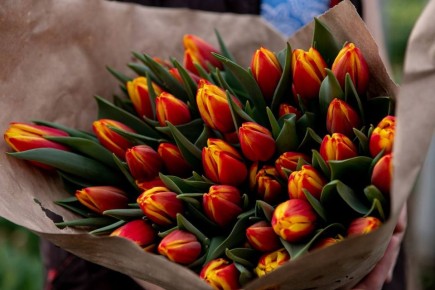 ������� �������!. ����������� � 8 �����