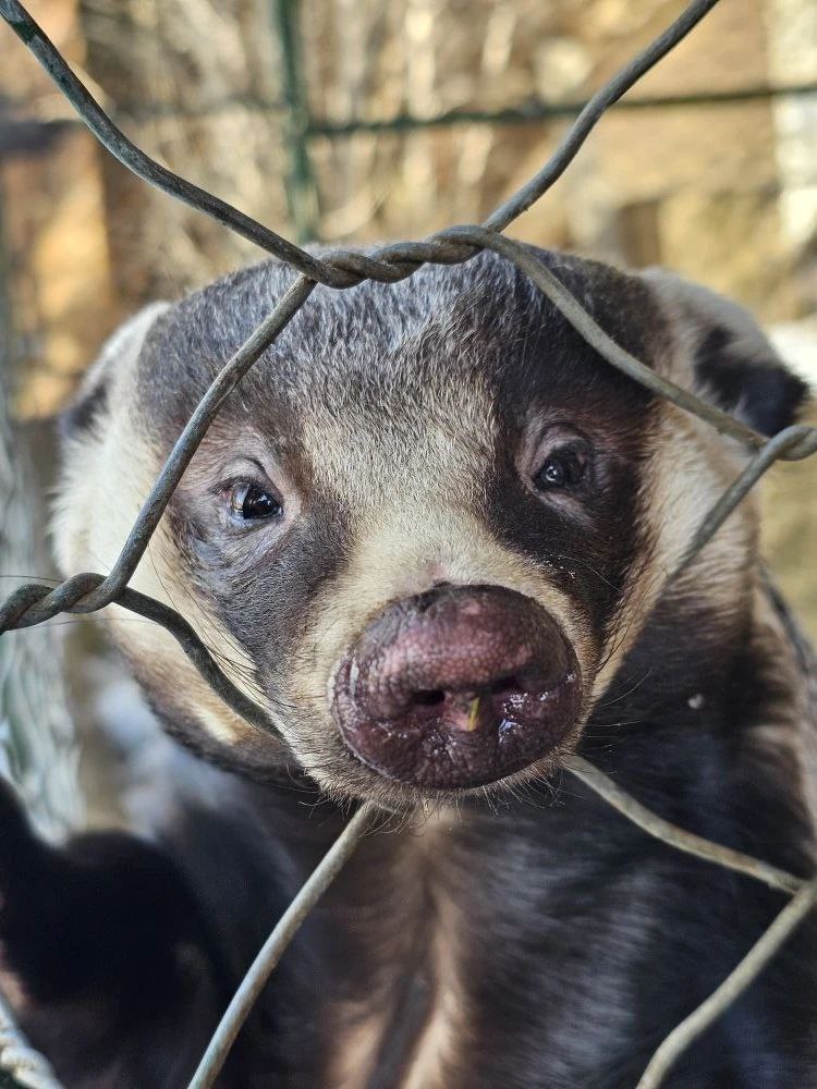 Весна объявляется открытой!