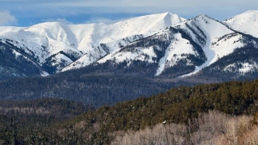 ���������� ������ ���. ����: