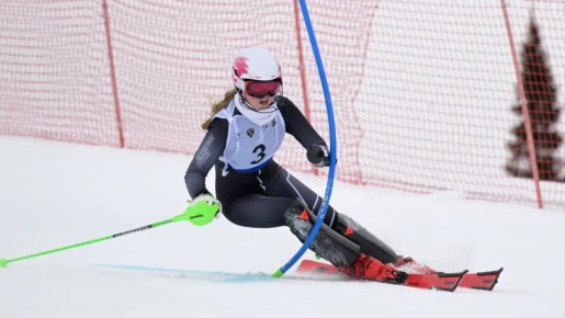 ����������� ������������ ��������� ������ �� �������������� �����