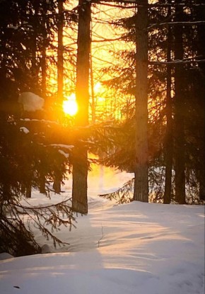 ������ ����, ��������� �������!