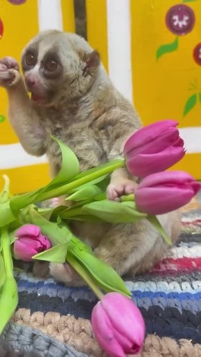 ������ ����, ��������� �������!