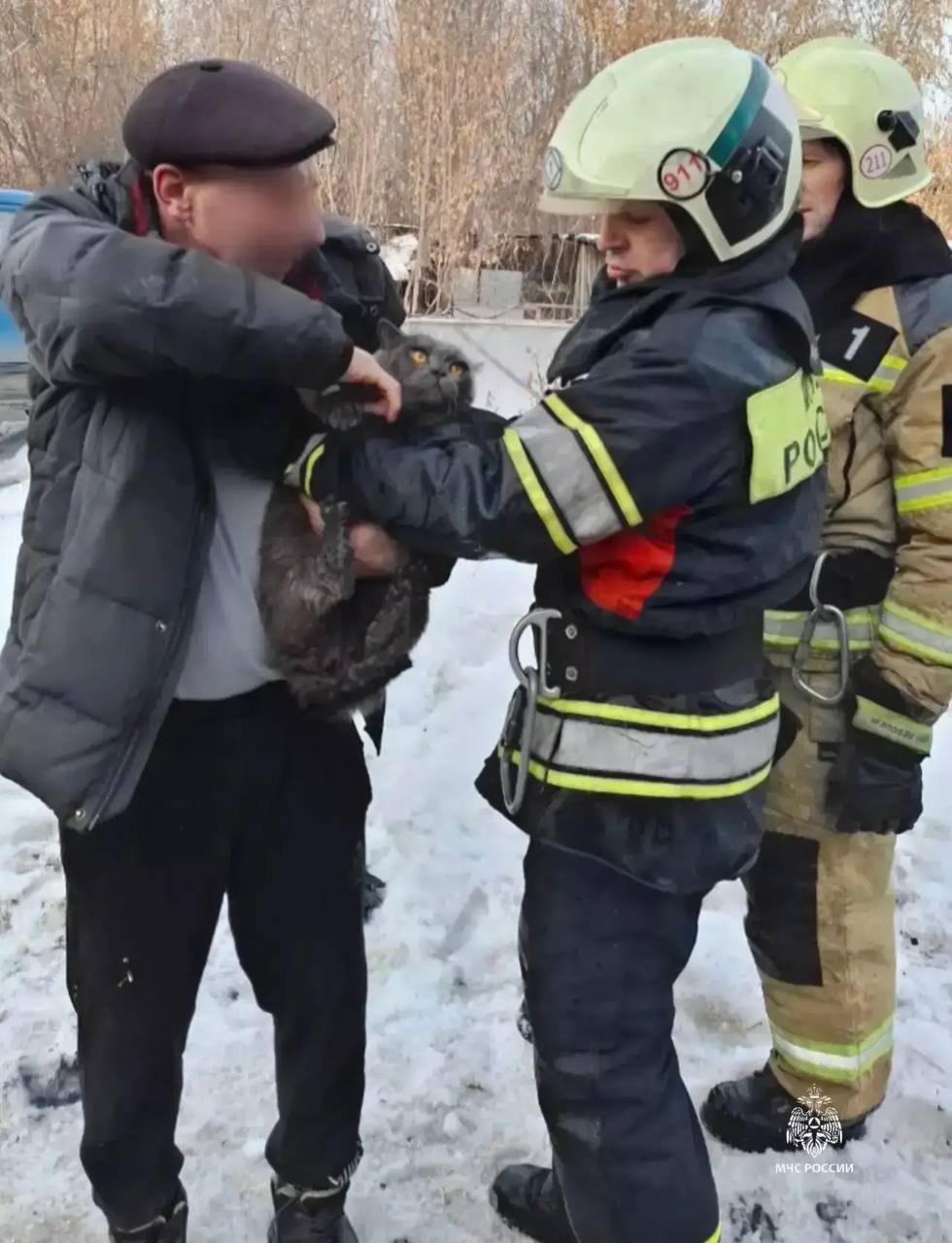 Еще новость, связанная с пожаром Еще новость, связанная с пожаром