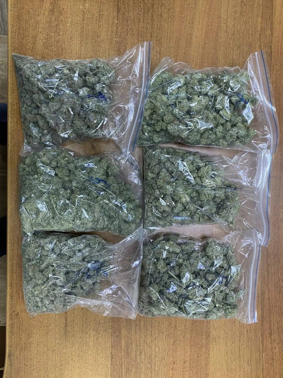 В Шелехове полицейские задержали мужчину, который устроил наркооранжерею в дачном доме