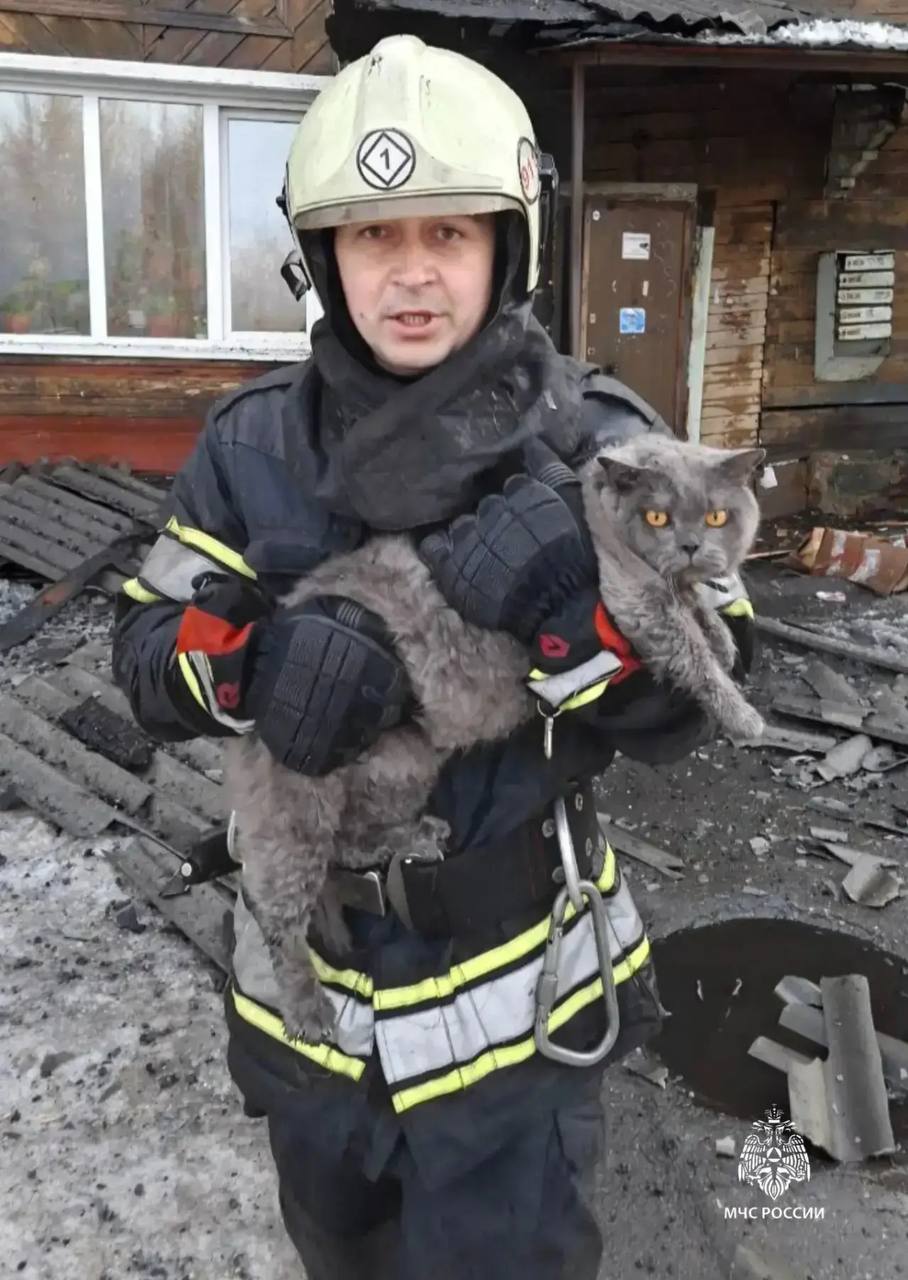 Еще новость, связанная с пожаром