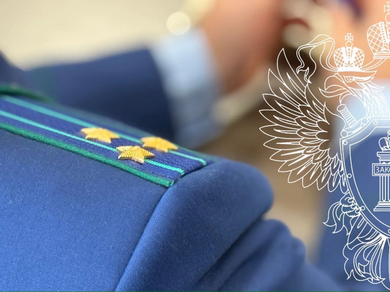 Прокуратура проведет проверку и проконтролирует уголовное дело в связи с нападением собак в Иркутске