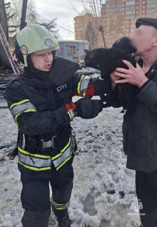Иркутские пожарные спасли двух кошек