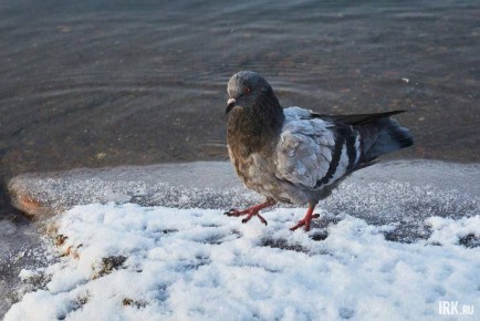 ������ ��� �����-�� ����� �� �������� �������, ���� �� ����� ������, ��? ��������