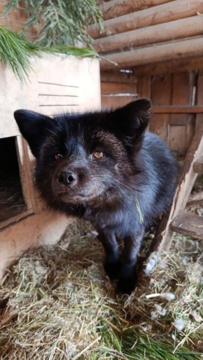 ������ ����, ��������� �������!