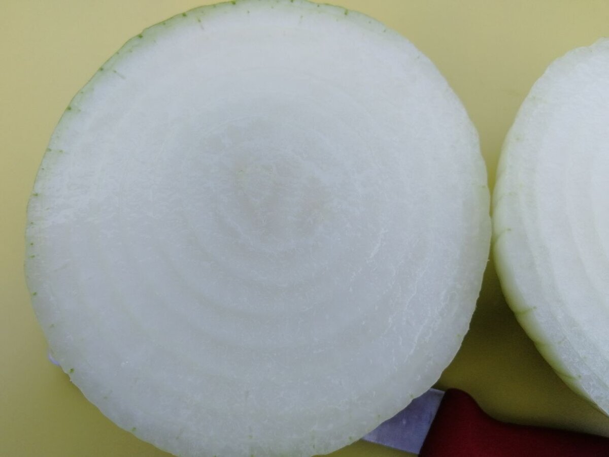 Как получить компактные луковицы Эксибишена: простые секреты от садоводов