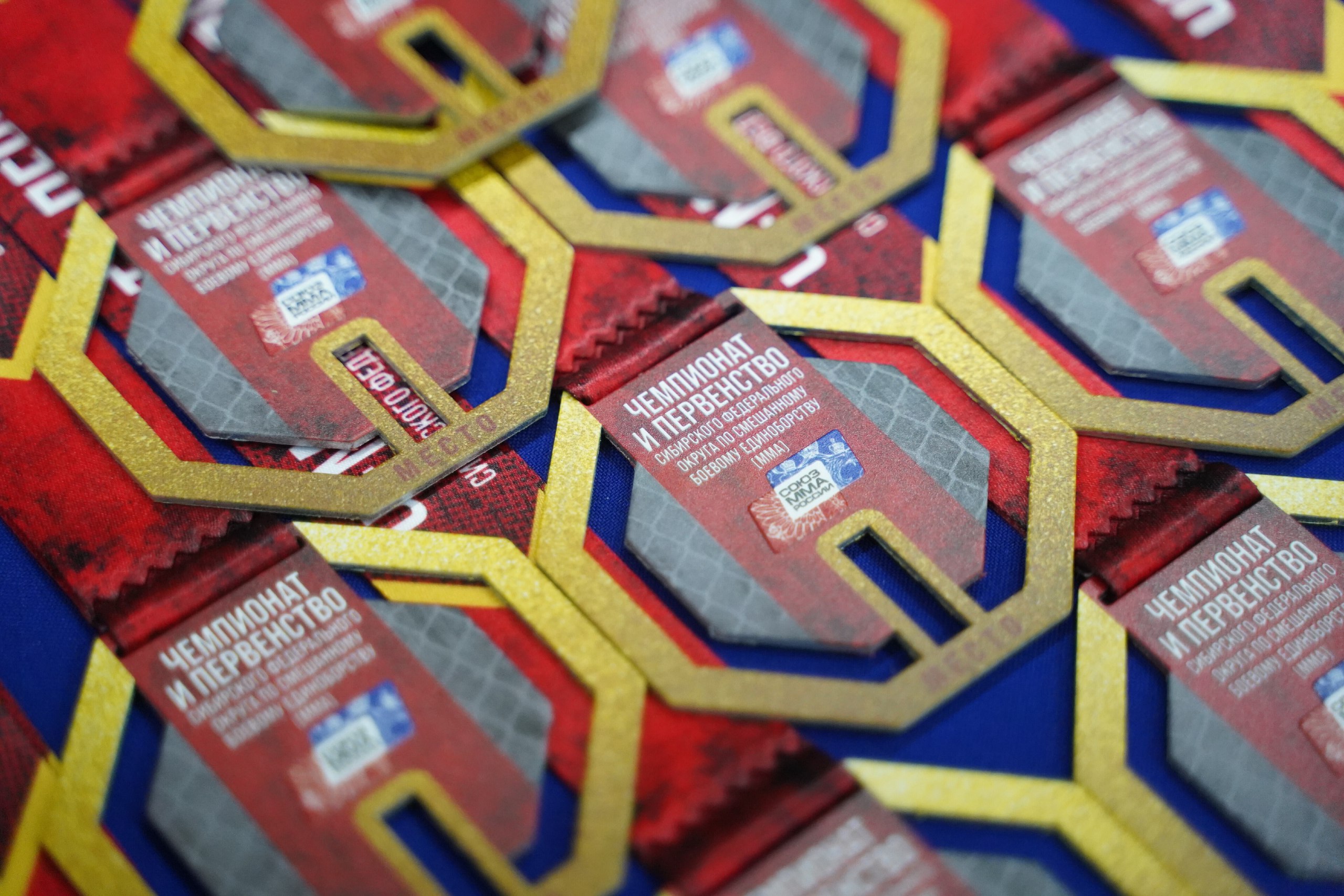 В Иркутске во Дворце спорта «Труд» 14-15 марта проходили чемпионат и первенство Сибирского федерального округа по смешанному боевому единоборству (ММА) В Иркутске во Дворце спорта «Труд» 14-15 марта проходили чемпионат и первенство Сибирского федерального округа по смешанному боевому единоборству (ММА)