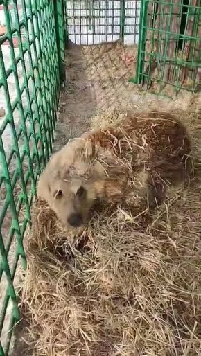 ������ ����, ��������� �������!