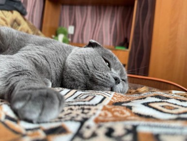 ������ ����, �������. ���������� ����� � ������� �������� ����� �� ��� �� ����� ������ ����! ���� � ������ ��������� �� +6�+8 ��������