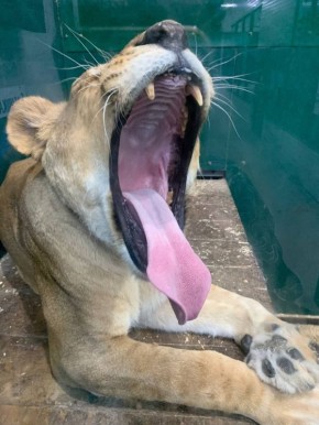 ������ ��������� ����, ��������! ���������� ������� ��������� ��� ����� ��������� ������� ������ ������������� ������ ������ �� ���������� ��������