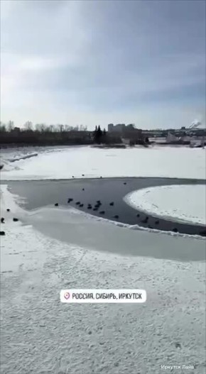 ���������� ������ ������� ���� � �����: